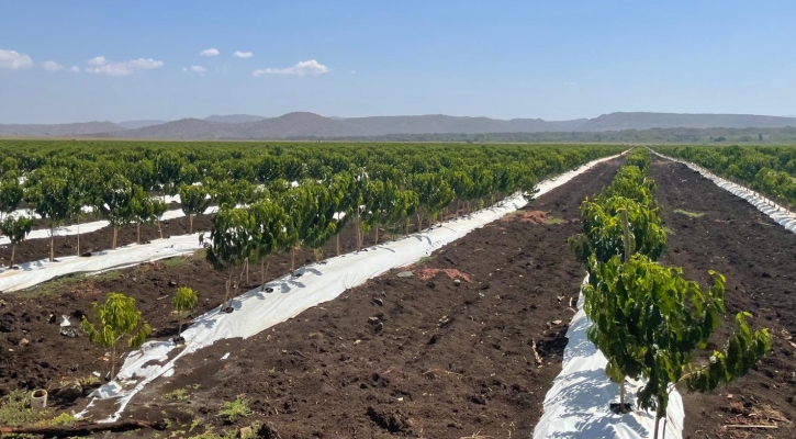 Быстрая установка несмотря на военные трудности