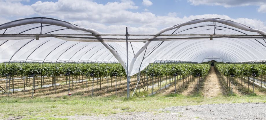 Вопросы и ответы о капельницах