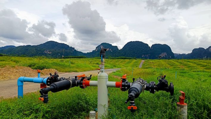 Оптимизированный полив дуриана в Таиланде