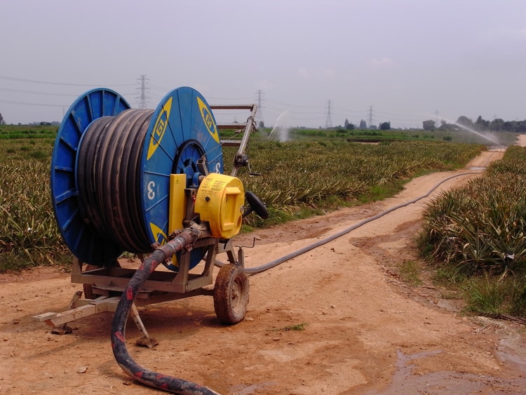 Эффективное ленточное орошение на склонах