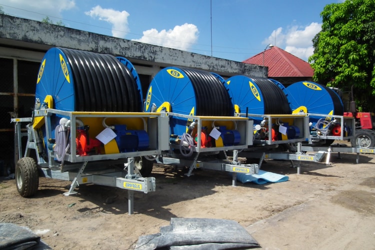 Ускоренное орошение для сахарного тростника