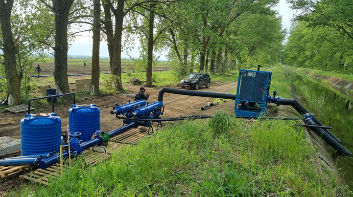Увеличение производства томатов в Украине