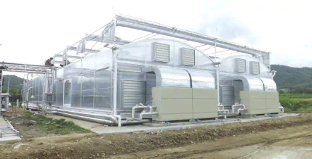 Точное выращивание в материнской теплице винодельни