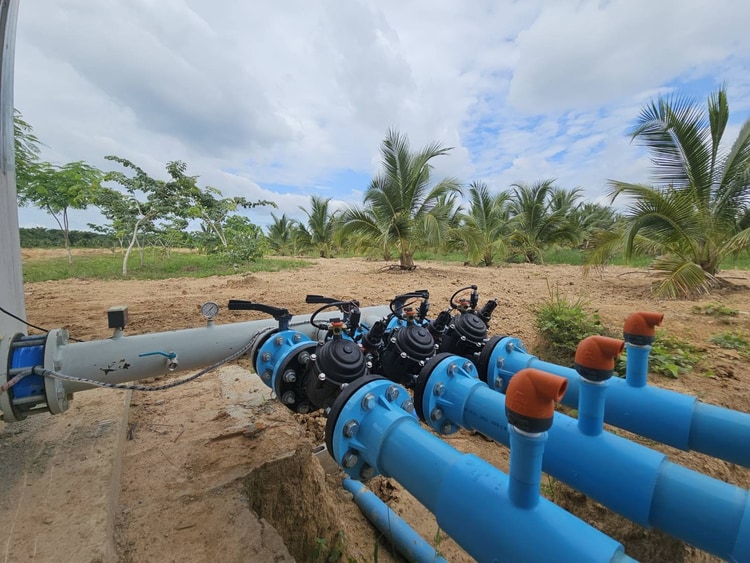 Двухкультурное прецизионное орошение